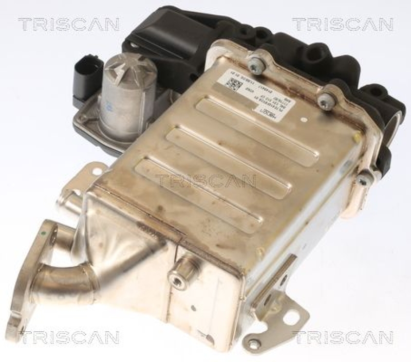 TRISCAN AGR-Ventil