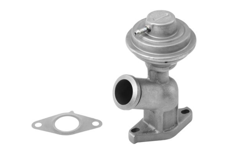 BorgWarner (Wahler) AGR-Ventil