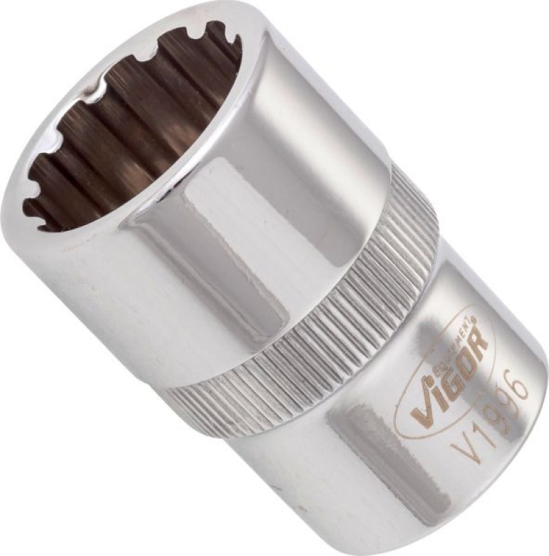 VIGOR Socket