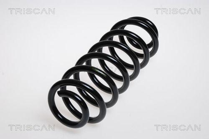 TRISCAN Coil Spring