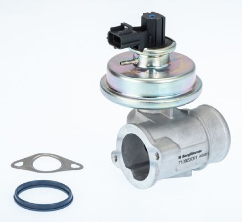 BorgWarner (Wahler) AGR-Ventil