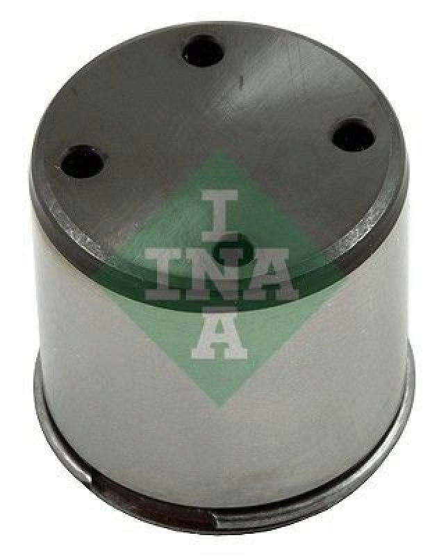 INA Plunger, high pressure pump