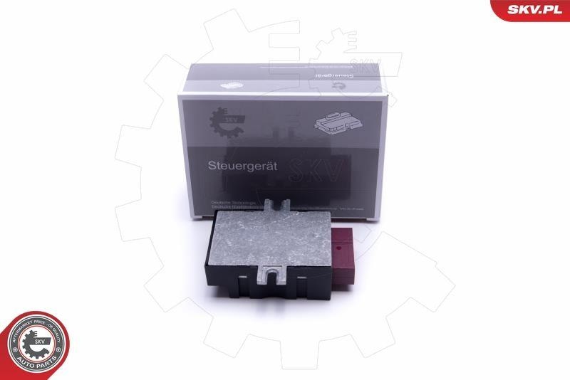 ESEN SKV Steuerger&auml;t, Kraftstoffpumpe