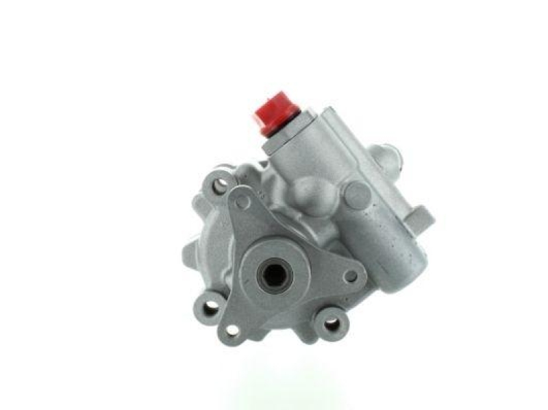 SPIDAN Hydraulikpumpe, Lenkung 54954