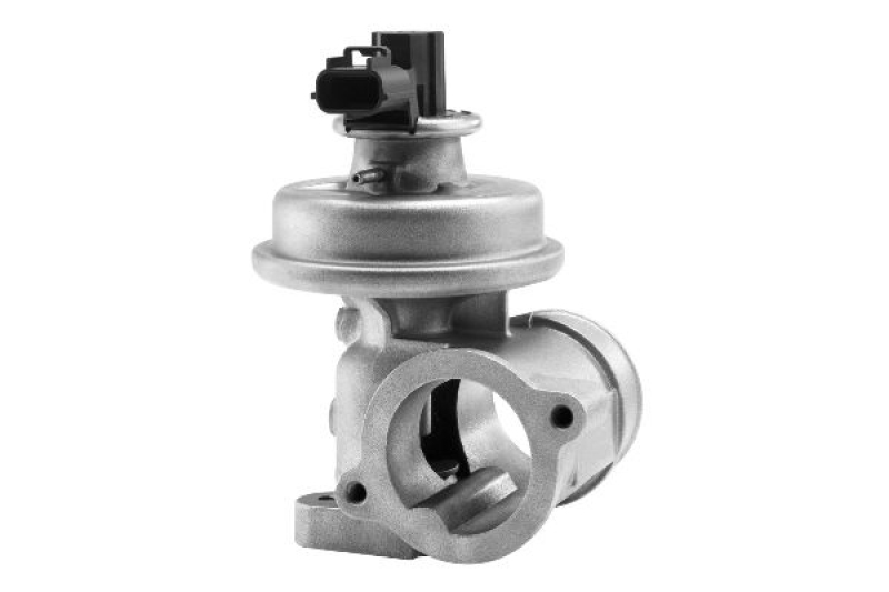 BorgWarner (Wahler) EGR Valve