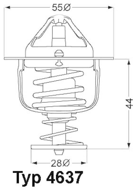 BorgWarner (Wahler) Thermostat für Kühlmittel / Kühlerthermostat