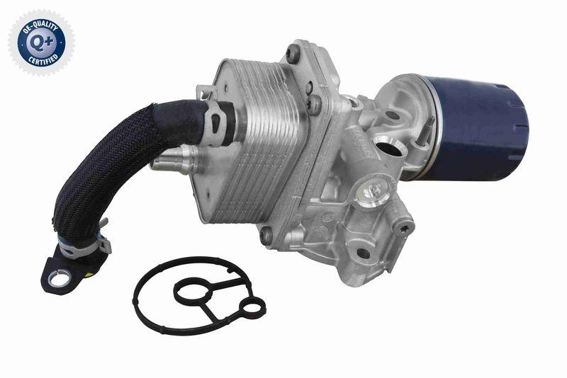 VEMO Oil Cooler, engine oil Q+, original equipment manufacturer quality