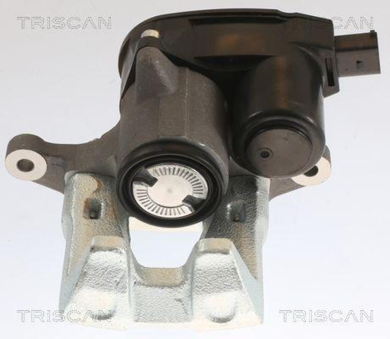 TRISCAN Bremssattel 8175 43213