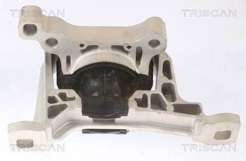 TRISCAN Mounting, engine