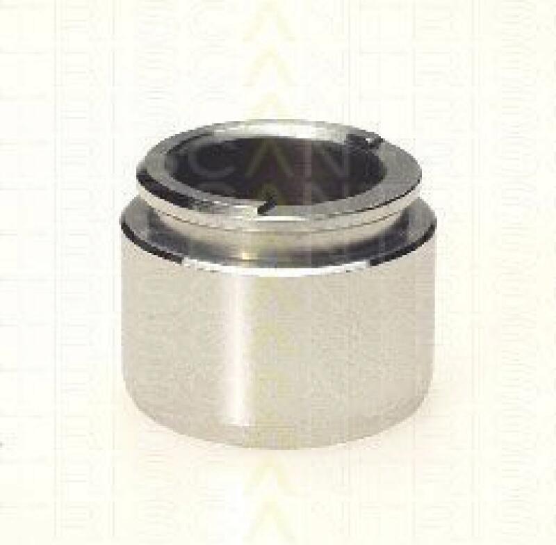 TRISCAN Piston, brake caliper