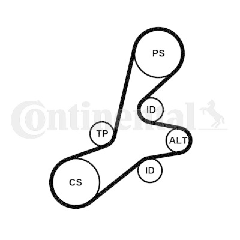 CONTINENTAL CTAM Keilrippenriemensatz