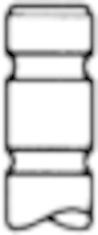 TRW Engine Component Einlassventil