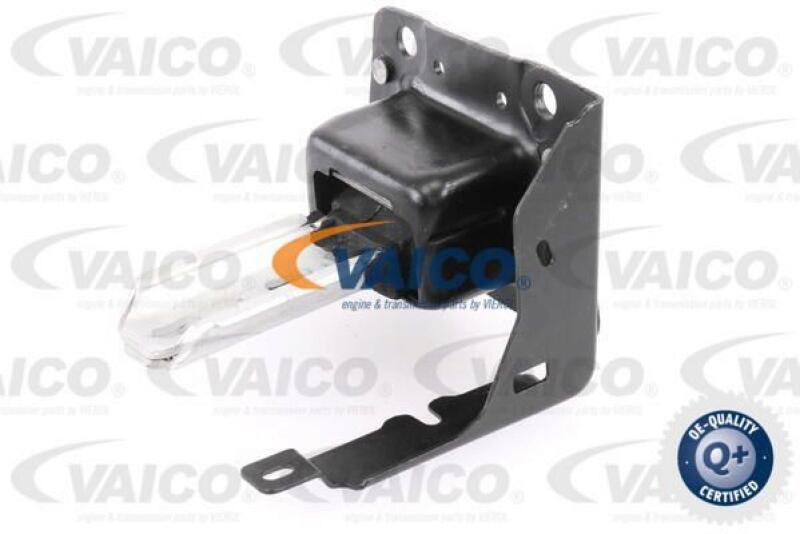 VAICO Mounting, automatic transmission Q+, original equipment manufacturer quality