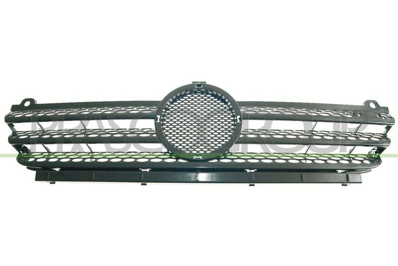 Radiator Grille