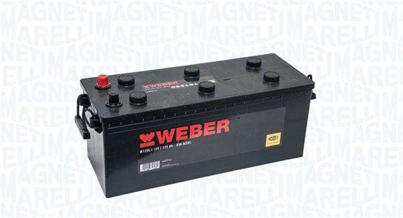 MAGNETI MARELLI Starterbatterie