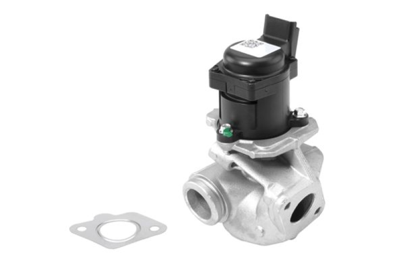 BorgWarner (Wahler) EGR Valve