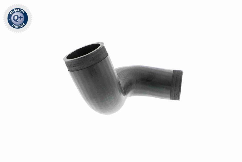 VAICO Charger Air Hose Original VAICO Quality