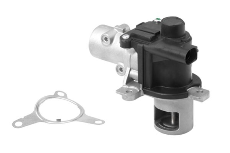 BorgWarner (Wahler) EGR Valve