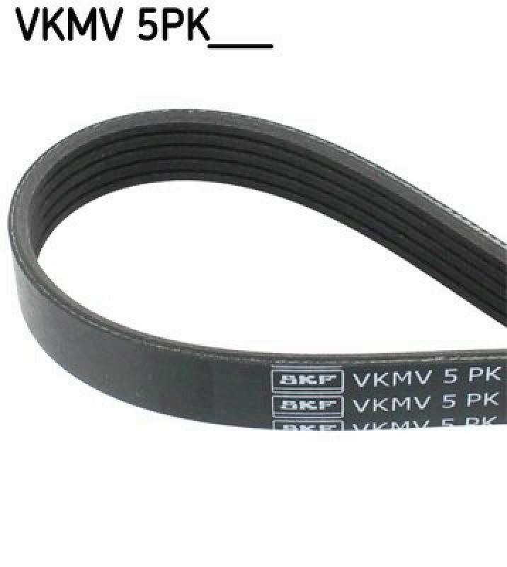 SKF V-Ribbed Belts