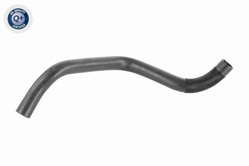 VAICO K&uuml;hlerschlauch Q+, Erstausr&uuml;sterqualit&auml;t V40-1190