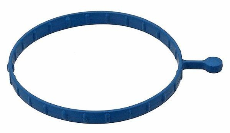 ELRING Dichtung, Ansaugkrümmergehäuse