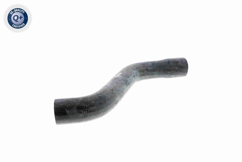 VAICO Radiator Hose Original VAICO Quality