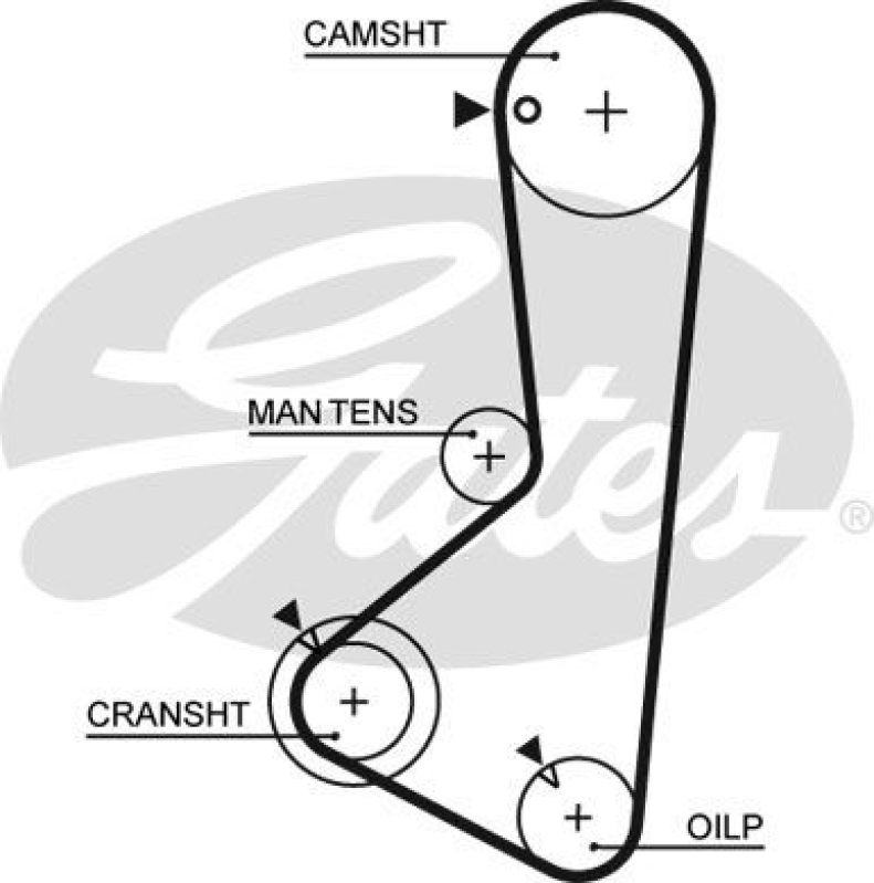 GATES Timing Belt PowerGrip®