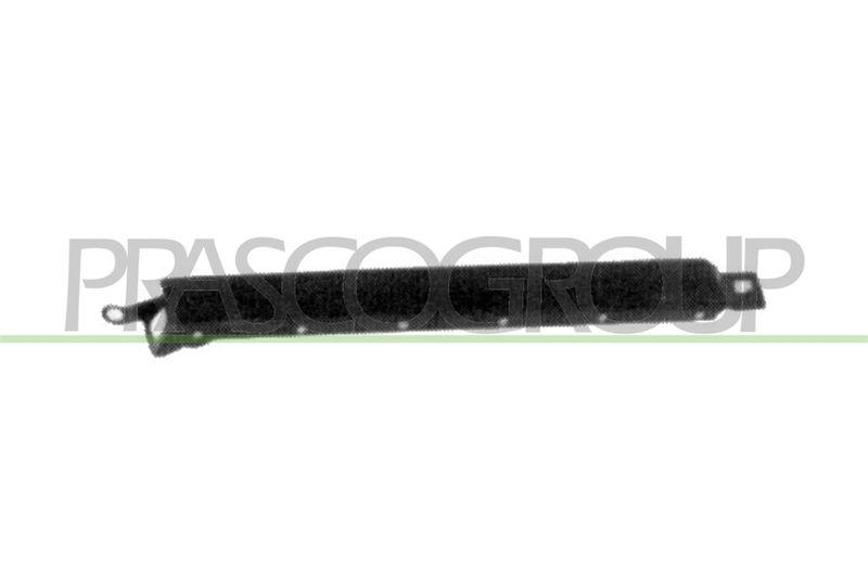 Headlight Trim