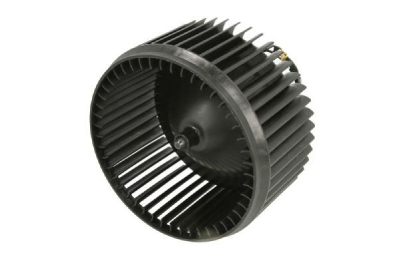 THERMOTEC Electric Motor, interior blower