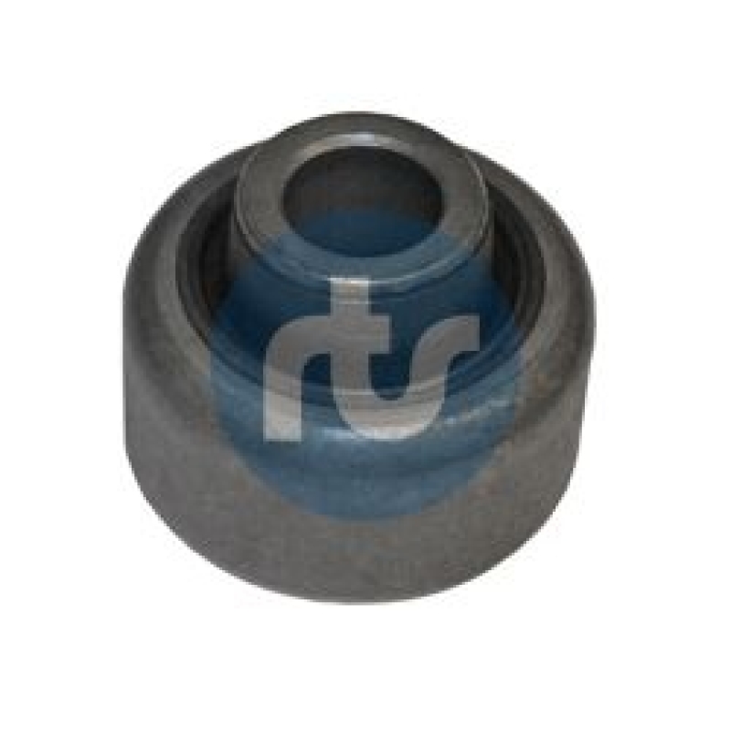 RTS Mounting, control/trailing arm