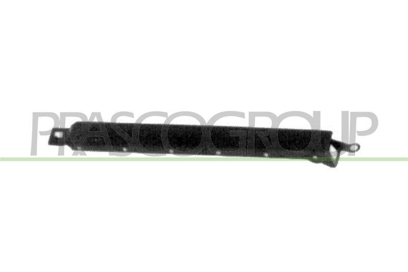Headlight Trim