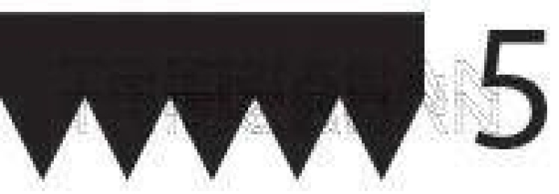 TRISCAN Keilrippenriemen 8640 500998
