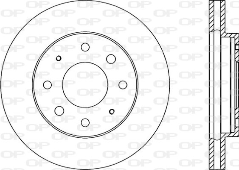 2x OPEN PARTS Bremsscheibe