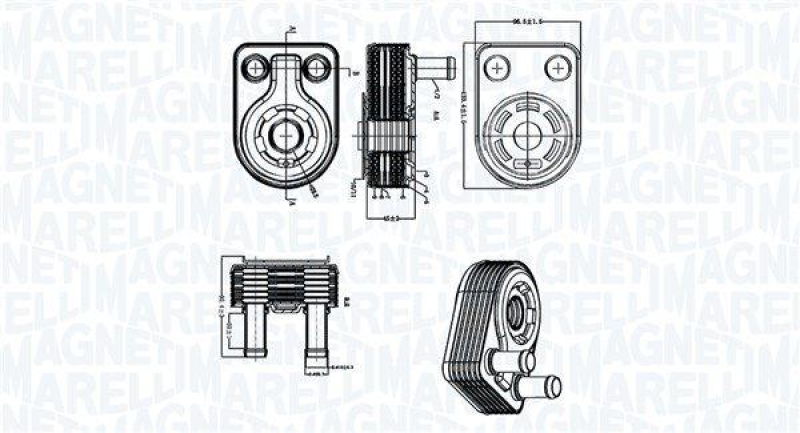 MAGNETI MARELLI Ölkühler, Motoröl