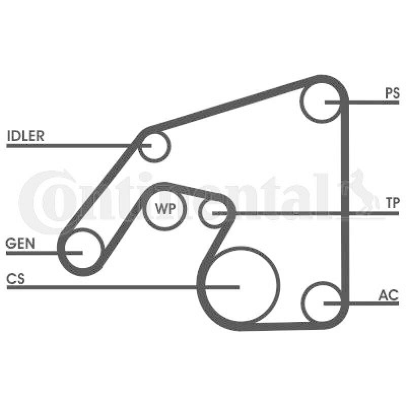 CONTITECH V-Ribbed Belt Set