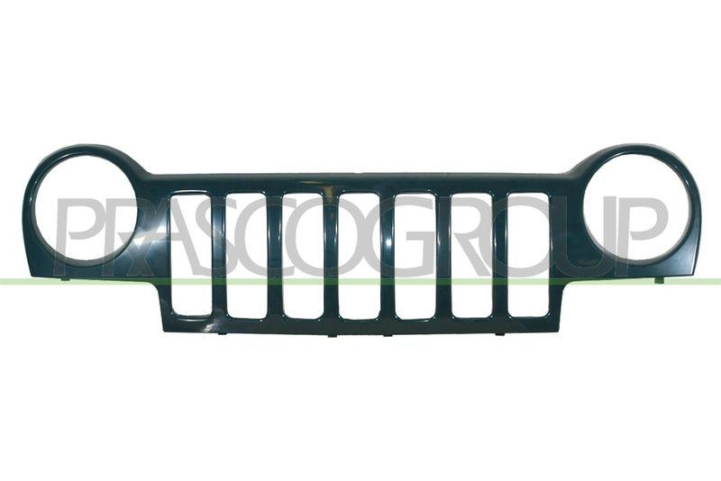 Radiator Grille
