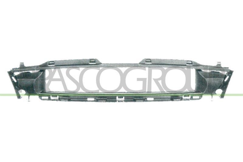 Frame, radiator grille