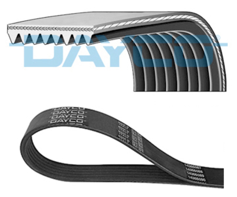 DAYCO V-Ribbed Belt