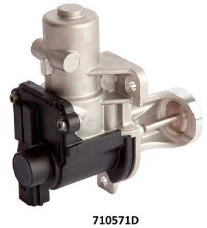 BorgWarner (Wahler) EGR Valve