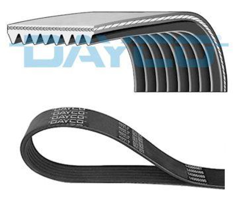 DAYCO V-Ribbed Belt