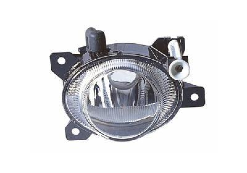 VAN WEZEL Fog Light