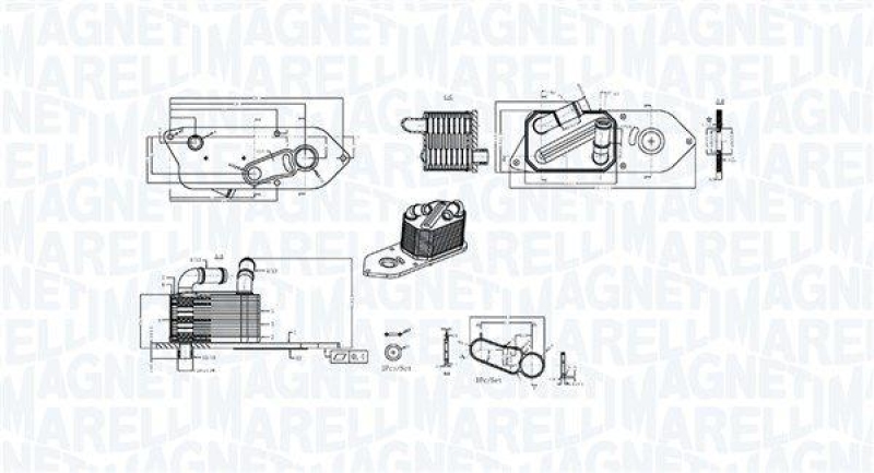 MAGNETI MARELLI Ölkühler, Motoröl
