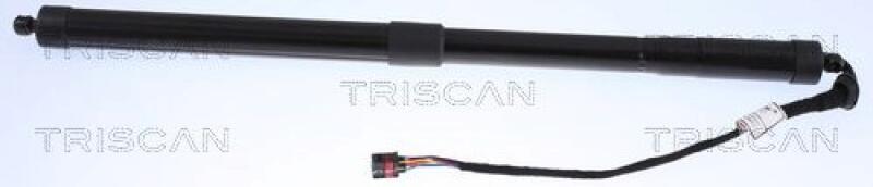 TRISCAN Gasfeder, Koffer-/Laderaum
