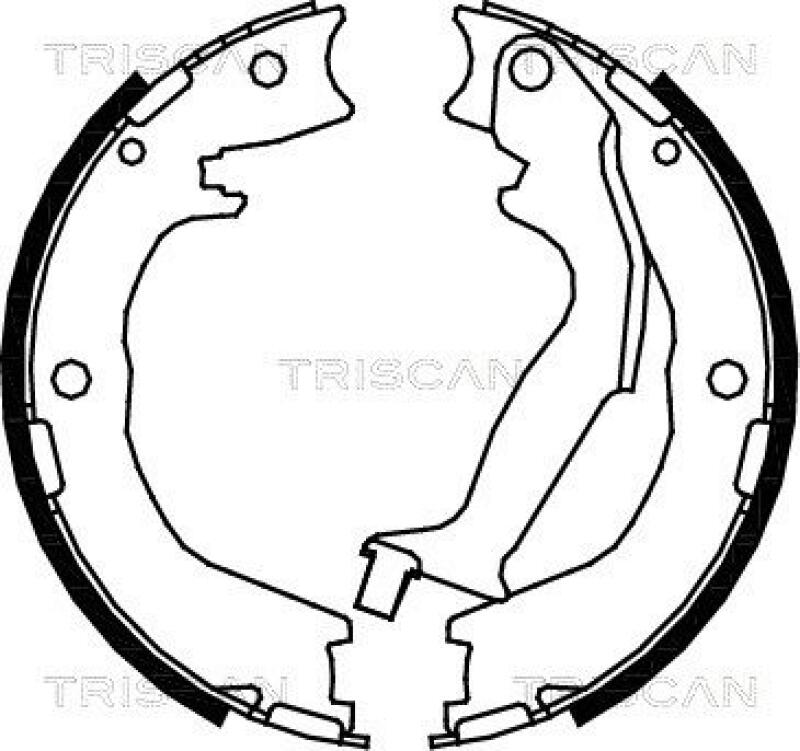 TRISCAN Brake Shoe Set, parking brake