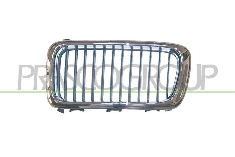 Radiator Grille