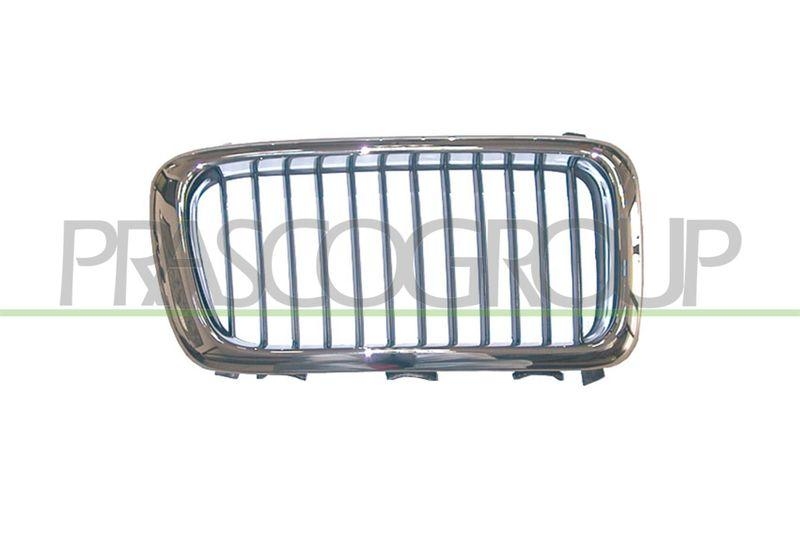 Radiator Grille