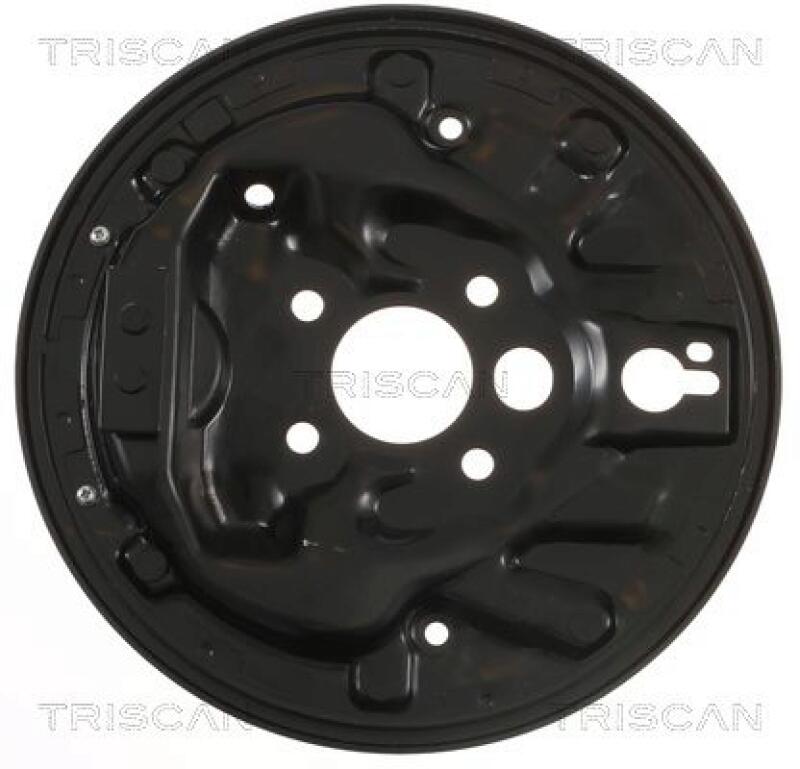 TRISCAN Splash Panel, brake disc