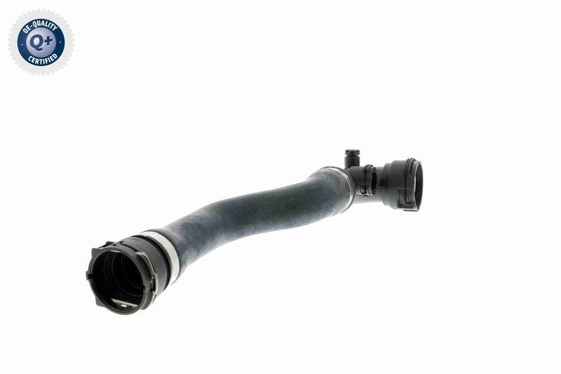 VAICO Radiator Hose Original VAICO Quality
