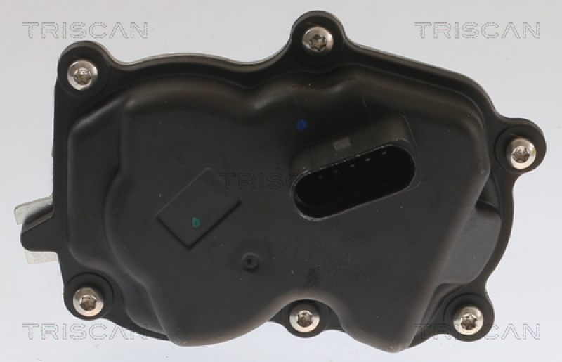 TRISCAN AGR-Ventil