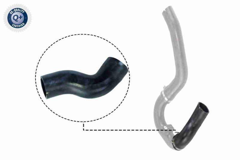 VAICO Ladeluftschlauch Q+, Erstausr&uuml;sterqualit&auml;t V24-0711